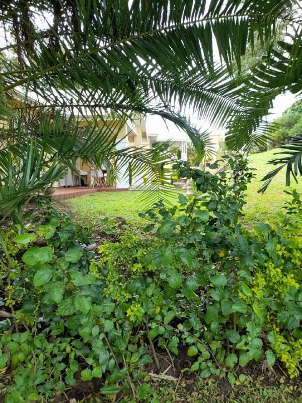 19 Montego Bay Caribbean Estate Apartment Порт Едуард Екстериор снимка